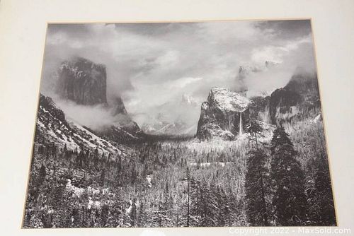 Lot #65 (1 of 7)