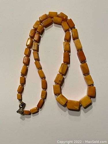 Lot #173 (1 of 2)