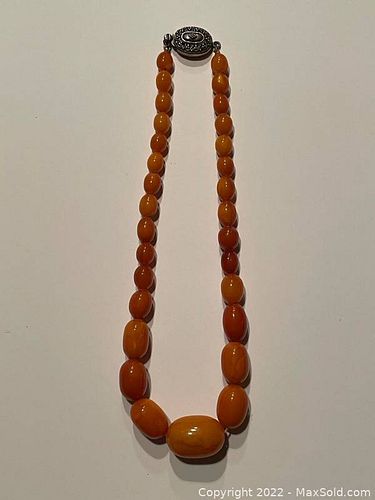 Lot #172 (1 of 4)