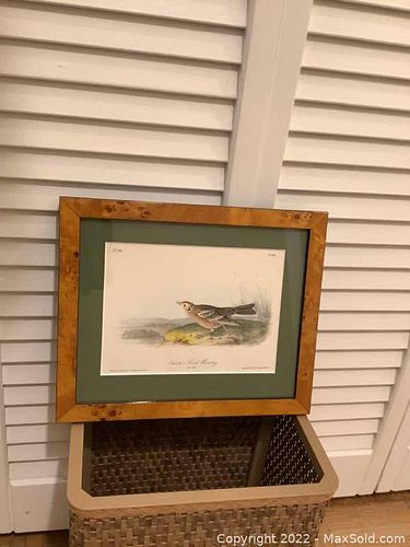 Lot #810 (1 of 6)