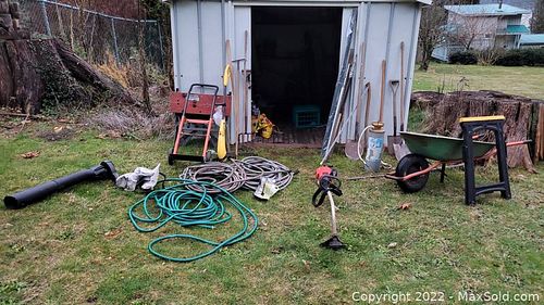 Lot #571 (1 of 17)