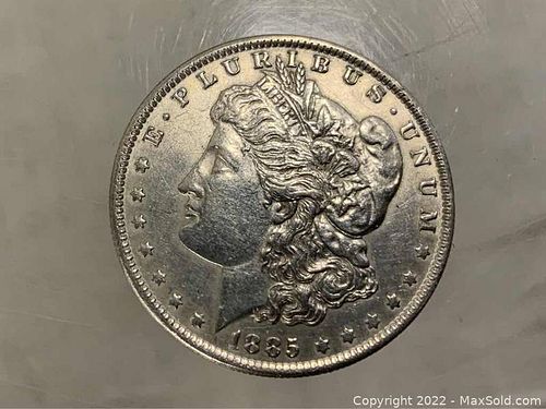 Lot #11 (1 of 2)