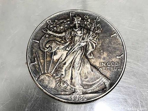 Lot #314 (1 of 2)