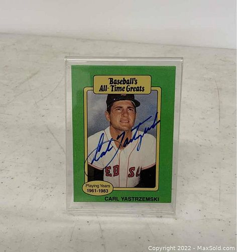 Lot #300 (1 of 2)