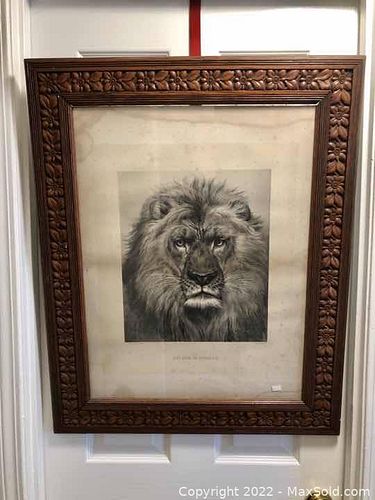 Lot #264 (1 of 9)