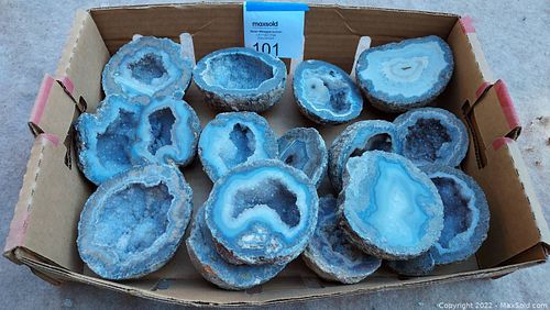 Lot #101 (1 of 9)