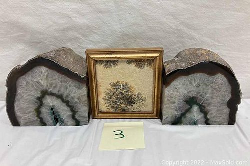 Lot #3 (1 of 12)