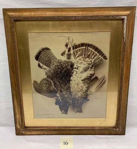 Lot #16 (1 of 6)