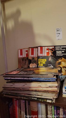 Lot #301 (1 of 11)