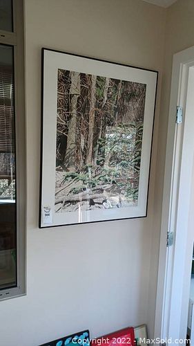 Lot #956 (1 of 12)
