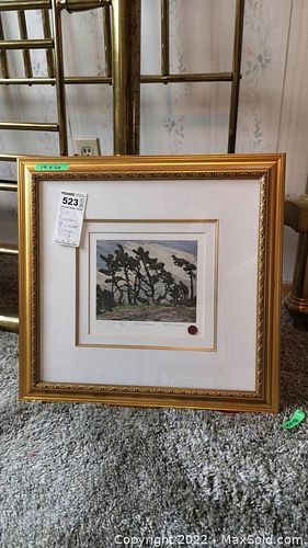 Lot #523 (1 of 10)