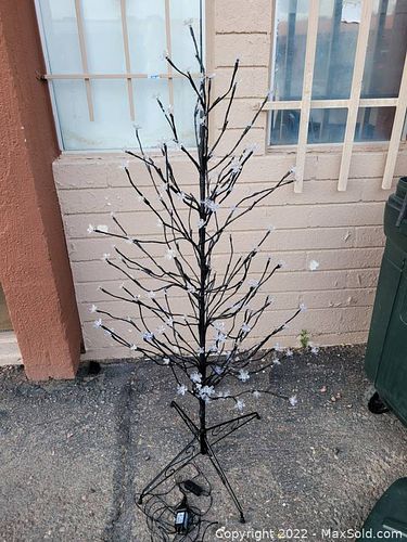 Lot #8 (1 of 8)