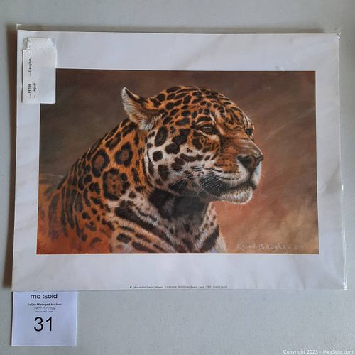 Lot #31 (1 of 2)