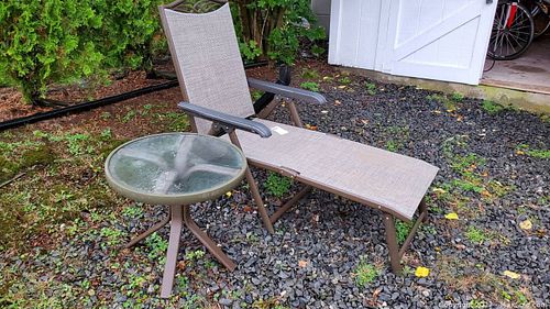 Lot #456 (1 of 12)