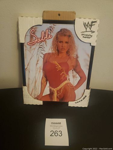 Lot #263 (1 of 2)