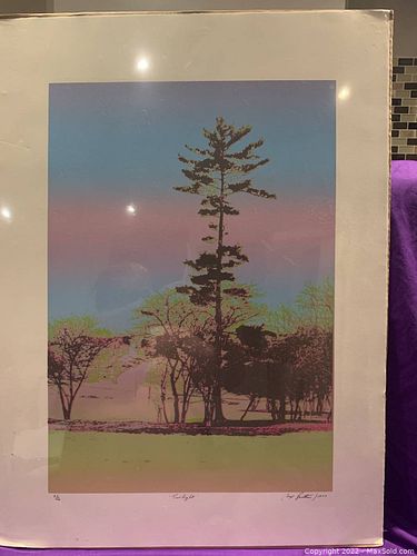 Lot #34 (1 of 6)