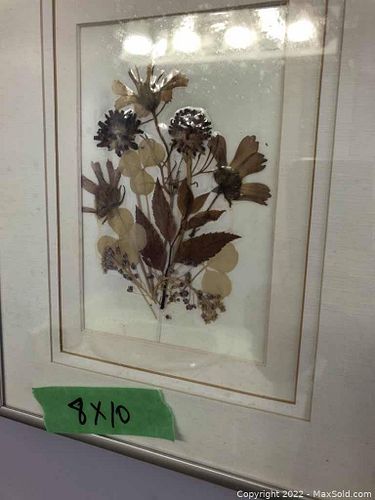 Lot #12 (1 of 10)