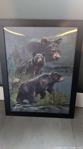 Lot #10 (1 of 6)