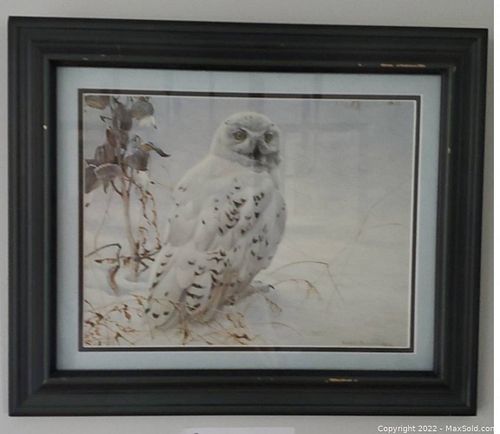 Lot #8 (1 of 3)