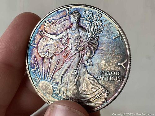 Lot #197 (1 of 3)