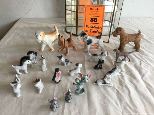 Lot #88 (1 of 14)