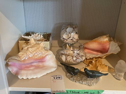 Lot #129 (1 of 18)