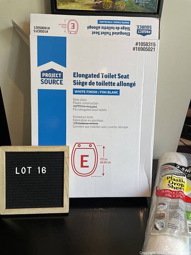 Lot #16 (1 of 5)