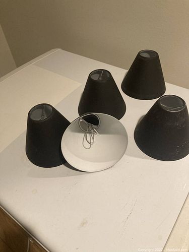 Lot #40 (1 of 2)