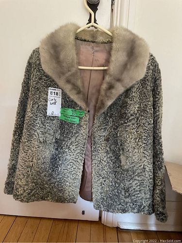 Lot #818 (1 of 12)