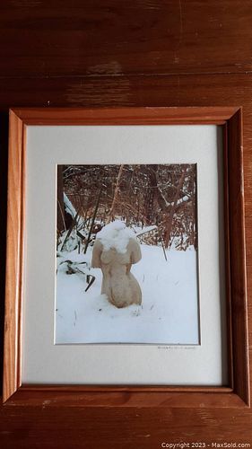 Lot #119 (1 of 12)