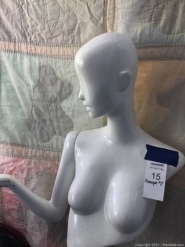 Lot #15 (1 of 5)