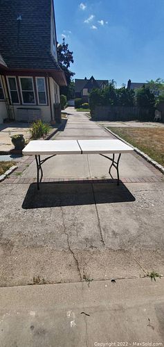 Lot #65 (1 of 3)