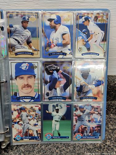 Lot #219 (1 of 7)