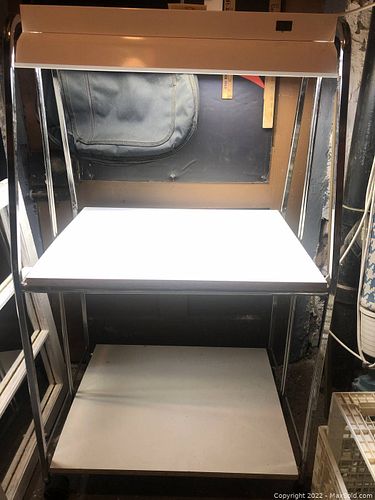 Lot #8 (1 of 5)