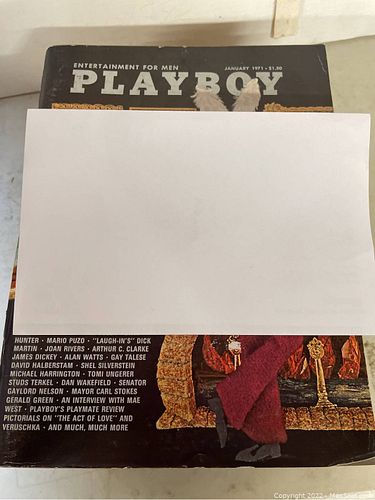 Lot #445 (1 of 3)