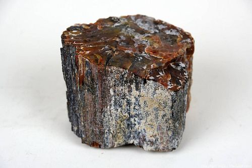 Lot #134 (1 of 4)