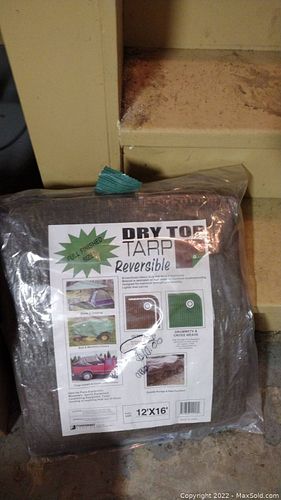 Lot #219 (1 of 8)