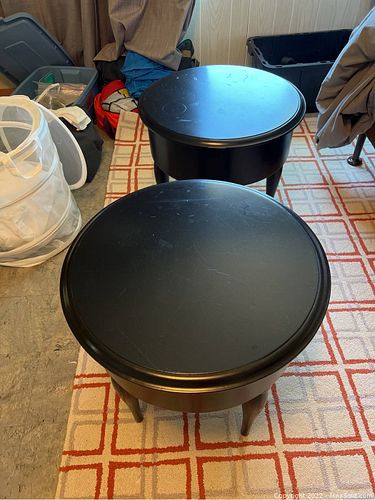 Lot #25 (1 of 2)