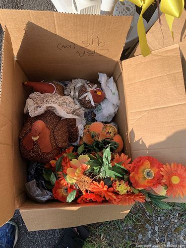 Lot #41 (1 of 3)