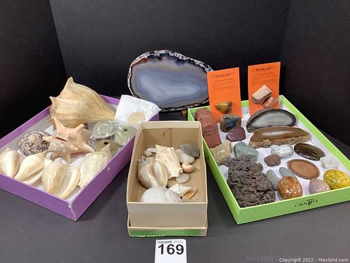 Lot #169 (1 of 6)
