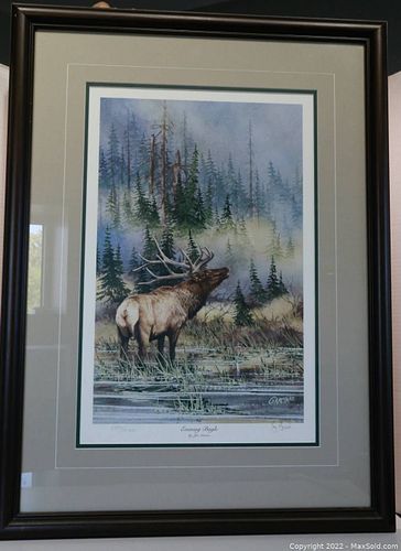 Lot #106 (1 of 3)