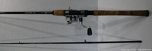 Lot #42 (1 of 2)