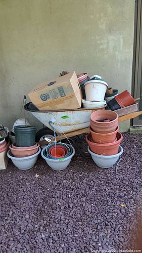 Lot #385 (1 of 13)