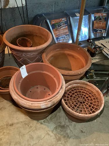 Lot #75 (1 of 8)