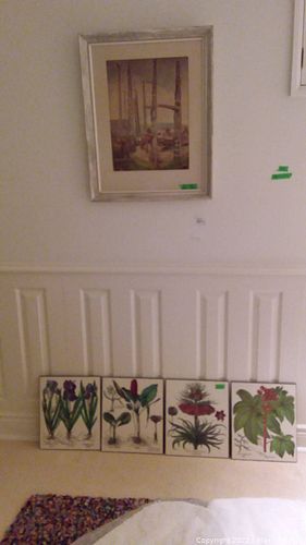 Lot #221 (1 of 10)