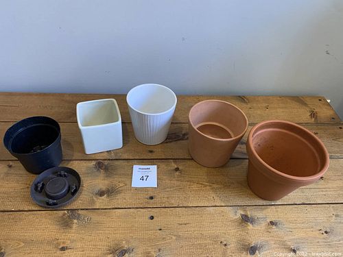 Lot #47 (1 of 7)