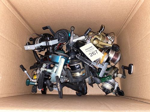 Lot #267 (1 of 3)