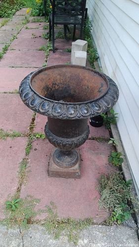 Lot #169 (1 of 6)