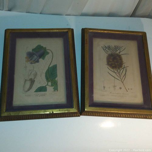 Lot #66 (1 of 4)