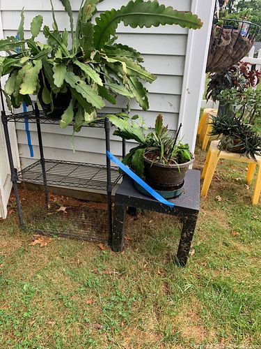 Lot #130 (1 of 5)